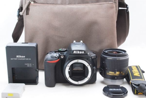 ☆極上美品☆ Nikon ニコン D5500 18-55 VRⅡ レンズキット 付属品 ♯18030201