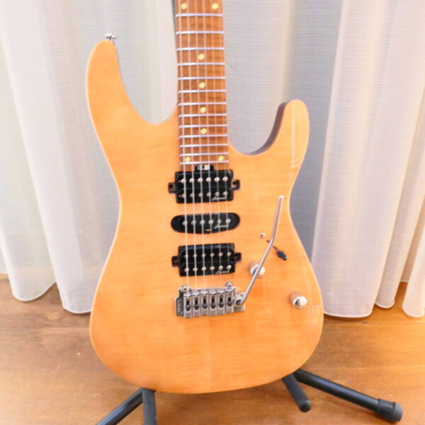 Harleybenton Fusion-III HSH Roasted ハーレーベントン エレキギター 美品 ストラトシェイプ Harley Benton