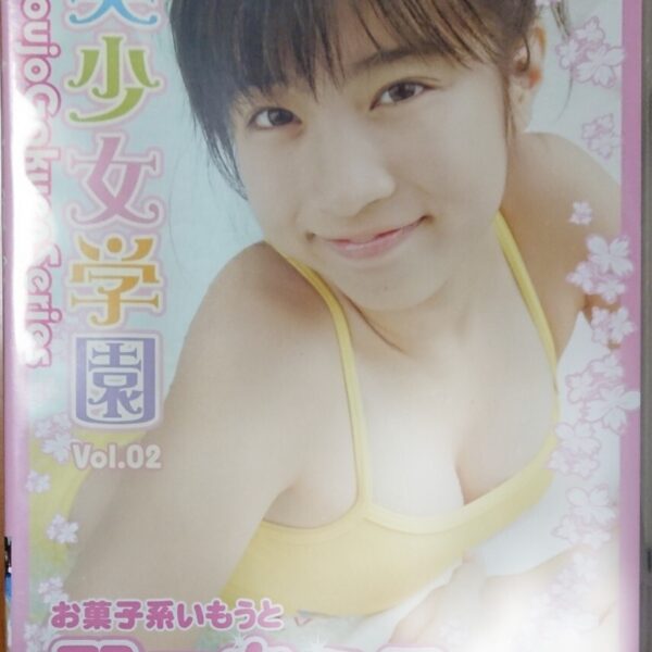 野口ちえこ DVD「美少女学園 Vol.02」中古 廃盤 入手困難　匿名配送