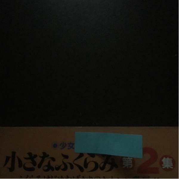 【超レア】小さなふくらみ第2集 さーくる社 写真集